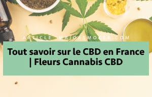 Tout savoir sur le CBD en France | Fleurs Cannabis CBD