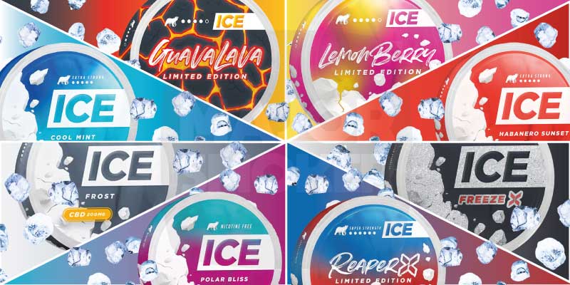 Ice, icepouch, nicotine pouches, nicotine pouche, pouches nicotine, pouche nicotine, sachet nicotine, nicotine en sachet, ice nicotine pouche, nicotine pouche ice, acheter ice nicotine pouches, ice pouch prix, France nicotine pouches, loi nicotine pouche France, nicotine pouche Belgique, ice nicopouch,