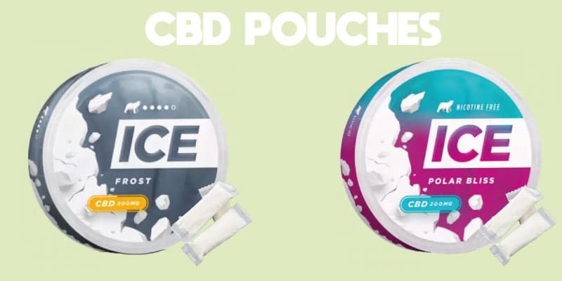 ice nicotine pouches, ice nicotine pouches near me, nicotine pouches ice, ice nicotine pouches prix, buy ice nicotine pouches, nicotine pouches, nicotine pouches france, ice nicotine pouches, nicotine pouches paris, nicotine pouch, nicopods, pods nicotine, sachets de nicotine, nicotine en sachet, sachet nicotine, sachet de nicotine, pouches nicotine, icepods, icepouches, pouches nicotine ice, nicotine pouches ice France, achat pouches nicotine France, nicotine pouches pas cher, nicotine pouches ice achat France, nicopods ice France pas cher, ice guava lava, ice frost nicotine pouches, icepouch, nicotine pouch,
